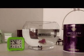 水利万物而不争 水电工程监理的智慧与担当